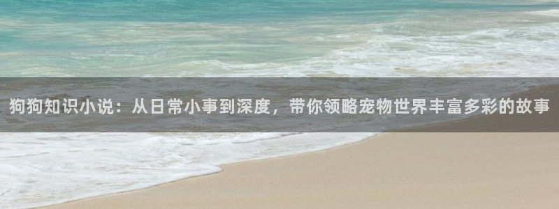 牛眼看书爽文：狗狗知识小说：从日常小事到深度，带你领略宠物世界丰富多彩的故事